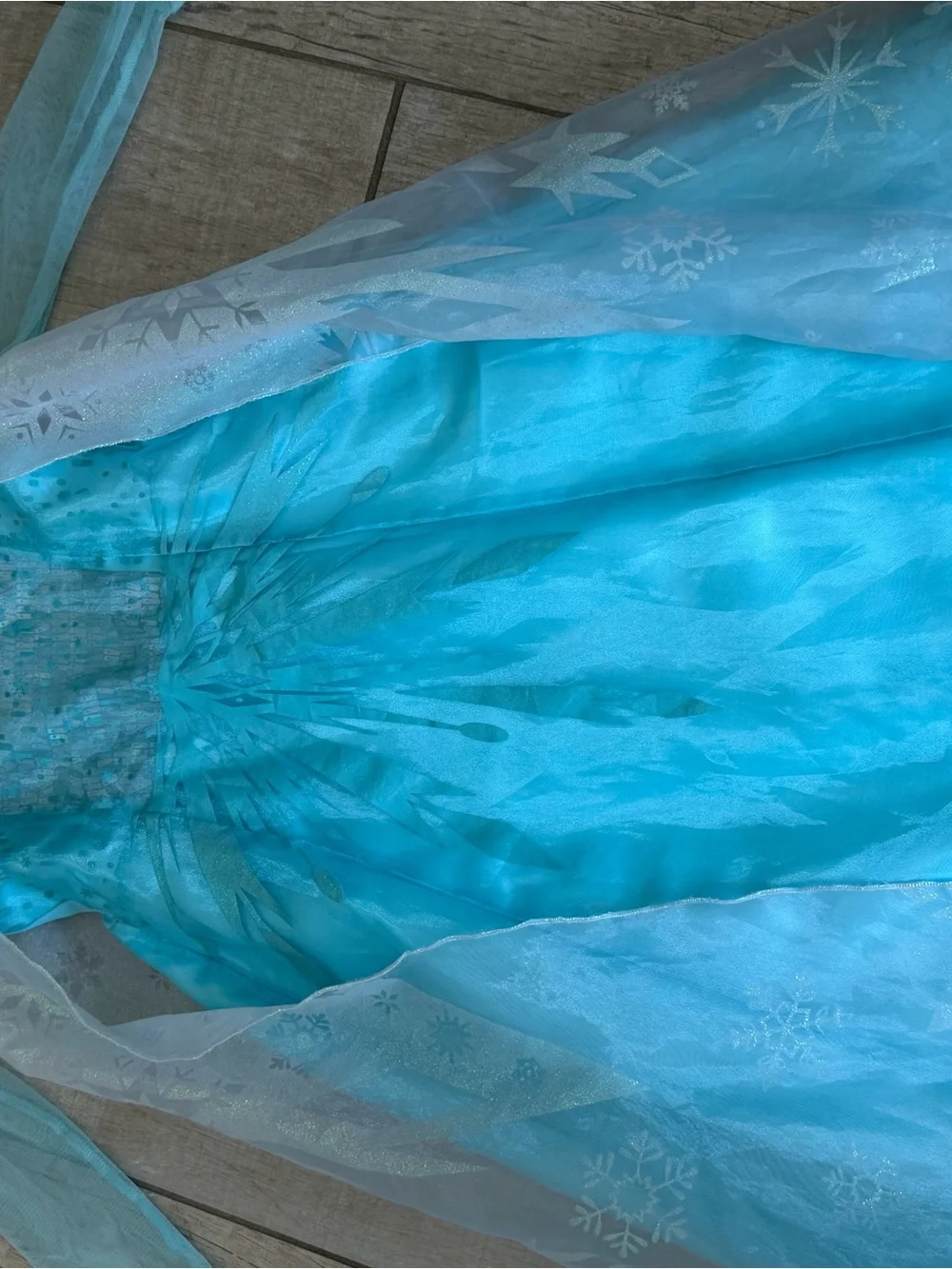Disney Elsa gown